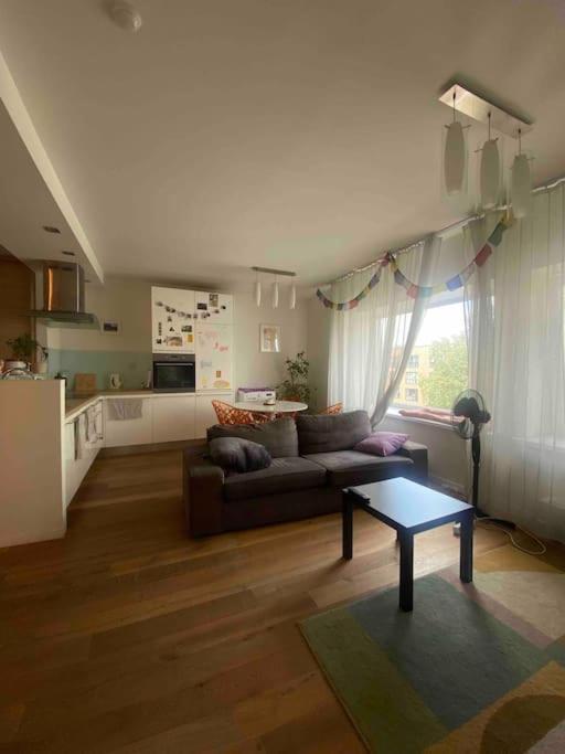 Cozy And Modern In The Center Of Huoneisto Riika